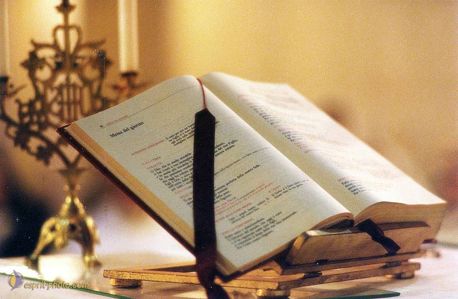 Nom de l'image : A1C01470-1ad_(c)Norbert-JUNG — Description :